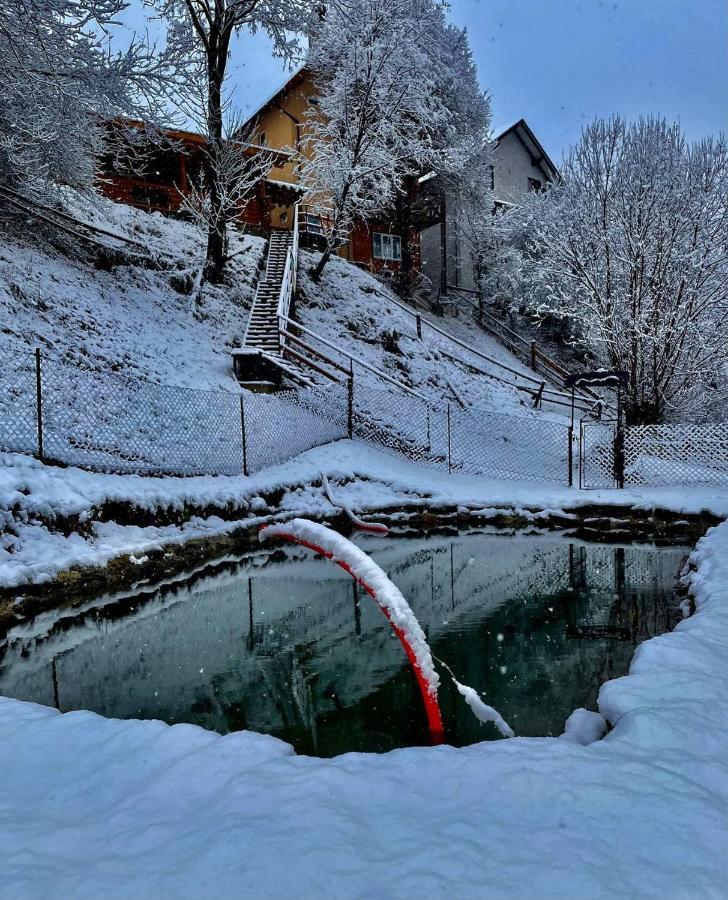 Садиба "У Туза" Worochta Exterior foto